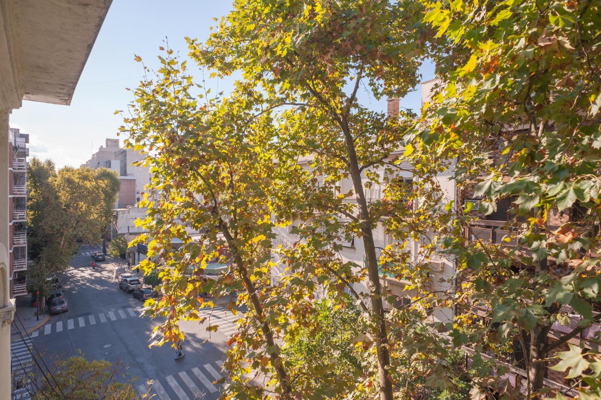 Cloudba Charcas Soho Apartments بوينس آيرس المظهر الخارجي الصورة
